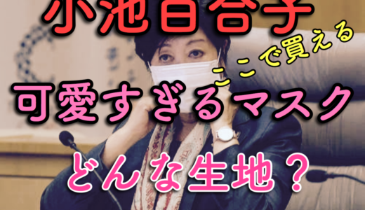 小池百合子のご近所マスクがかわいい！生地はどこで買える？